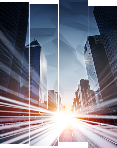 会社名:株式会社 XOCOMPANY