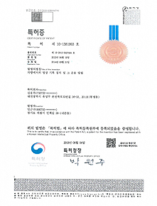 特許 10-1381993 車両での映像記録装置およびその運用方法